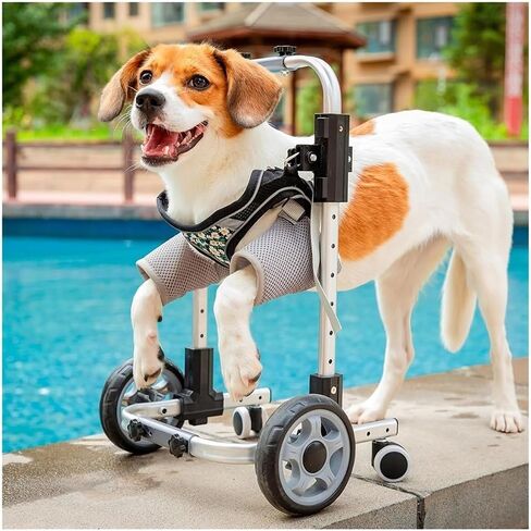 Dog Wheelchair for Front Legs 4-Wheeled, Adjustable Dog Carts with Wheels, Lightweight Pet Wheel Chair with Front Limb Walking Mobility Aids for Doggy Leg Brace Hip Support Legs Weak Pet in Saudi Arabia