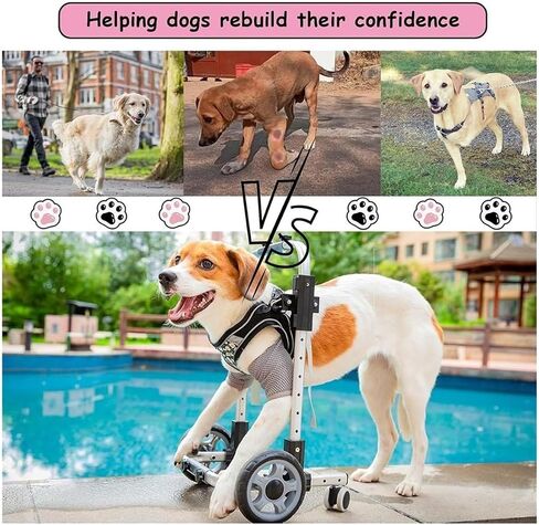 Dog Wheelchair for Front Legs 4-Wheeled, Adjustable Dog Carts with Wheels, Lightweight Pet Wheel Chair with Front Limb Walking Mobility Aids for Doggy Leg Brace Hip Support Legs Weak Pet in Saudi Arabia