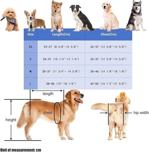 Dog Mobility Aid Wheelchair Adjustable Front Back Wheels for Small, Medium, and Large Dogs with Paralysis Or Injury Leg Brace Trolley for Arthritis and Mobility Support in Saudi Arabia
