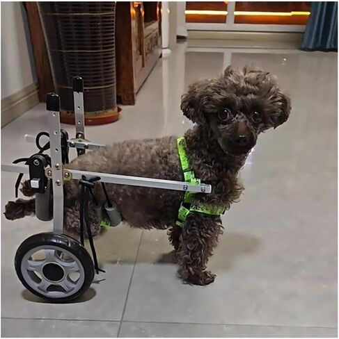 Dog Wheelchair Pet Wheelchair Aid Vehicle, Aluminum Legs Exercise Wheels for Rehabilitation, 3.3-19.8lbs Animal Recover Cart Brace for Disabled/Paralyzed in Saudi Arabia