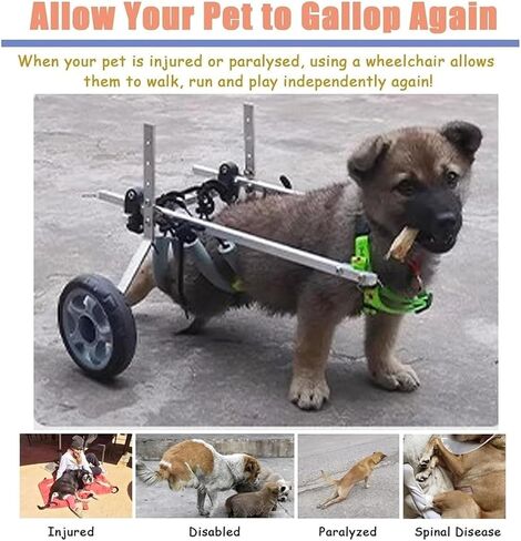 Dog Wheelchair Pet Wheelchair Aid Vehicle, Aluminum Legs Exercise Wheels for Rehabilitation, 3.3-19.8lbs Animal Recover Cart Brace for Disabled/Paralyzed in Saudi Arabia