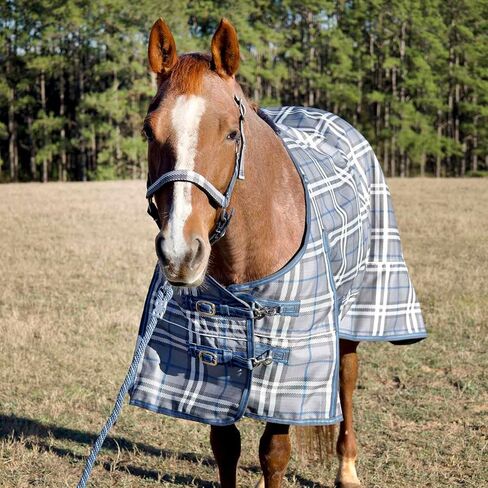 Jeffers Poplar Head Refuge 1200D, Hamilton Blue & Slate Plaid, 75" - Turnout Blanket, Waterproof, 240g Polyfill, Adjustable Chest, Belly Surcingles, Hind Leg Straps, Tail Flap, Horse Blanket in Saudi Arabia