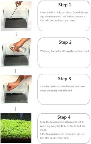 مجموعة من قطعتين من بذور نباتات حوض السمك، وليست نباتات بلاستيكية صناعية. استبدال ديكور خزان العشب الحقيقي للراتنج أو العشب البلاستيكي N0:9527-13 in Kuwait