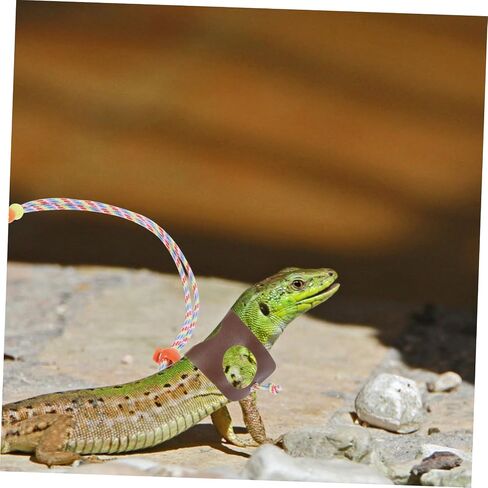 Generic Adjustable Lightweight Lizard Leash for Small Reptiles Portable Breathable PU Material Wear-Resistant Gecko Harness Comfortable Strap for Bearded Dragon Outdoor Use in Saudi Arabia