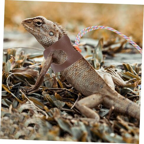 Generic Adjustable Lightweight Lizard Leash for Small Reptiles Portable Breathable PU Material Wear-Resistant Gecko Harness Comfortable Strap for Bearded Dragon Outdoor Use in Saudi Arabia