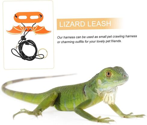 5Pcs Adjustable Reptile Wing Leash Harness for Small Lizards and Geckos Soft Comfortable Design for Outdoor Walking and Training in Saudi Arabia