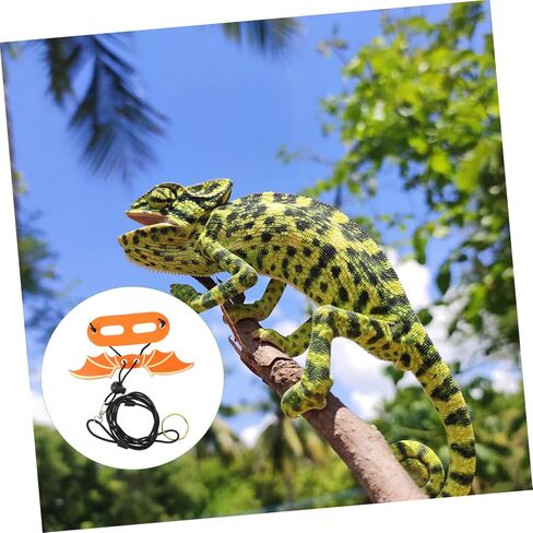 5Pcs Adjustable Reptile Wing Leash Harness for Small Lizards and Geckos Soft Comfortable Design for Outdoor Walking and Training in Saudi Arabia