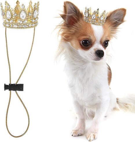 Abbylike Pet Rhinestone King Crown Small Size, Queen Crown for Halloween Costume for Small Dog Cat Cosplay Party Accessories Adoption Celebration Wedding Birthday Photos Prop Costume in Saudi Arabia