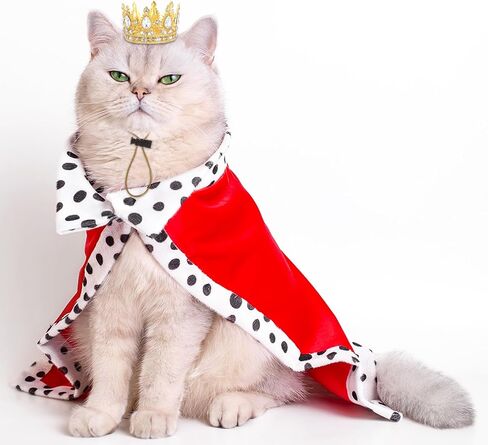 Abbylike Pet Rhinestone King Crown Small Size, Queen Crown for Halloween Costume for Small Dog Cat Cosplay Party Accessories Adoption Celebration Wedding Birthday Photos Prop Costume in Saudi Arabia