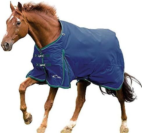 Highlander Plus 200 Neck Cover (Medium, Navy) in Saudi Arabia