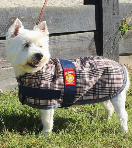 Baker Waterproof Dog Blanket in Saudi Arabia