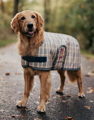 Baker Waterproof Dog Blanket in Saudi Arabia