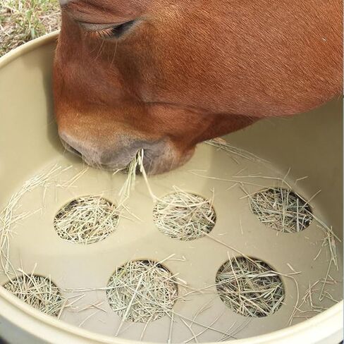 Free Standing Corner Feeder, Slow Hay Horse Feeder in Saudi Arabia
