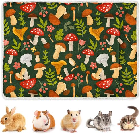 Glittme 10Pcs Guinea Pig Bed Soft Bunny Mats Warm Rabbit Bedding Guinea Pigs Mat Small Animal in Kuwait