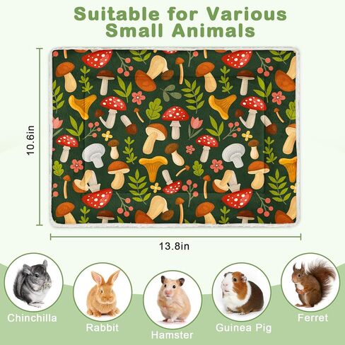 Glittme 10Pcs Guinea Pig Bed Soft Bunny Mats Warm Rabbit Bedding Guinea Pigs Mat Small Animal in Kuwait
