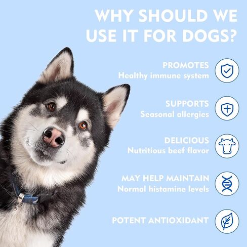 Quercetin + Bromelain for Dogs – Immune & Allergy Support Supplement, Inflammatory Relief, Antioxidant Formula, 120 Beef-Flavored Chewable Tablets in Saudi Arabia