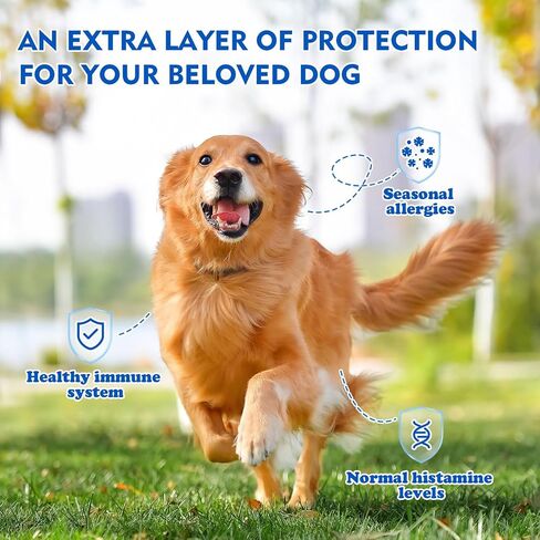 Quercetin + Bromelain for Dogs – Immune & Allergy Support Supplement, Inflammatory Relief, Antioxidant Formula, 120 Beef-Flavored Chewable Tablets in Saudi Arabia