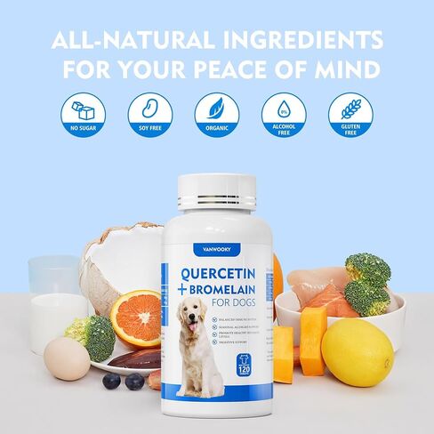 Quercetin + Bromelain for Dogs – Immune & Allergy Support Supplement, Inflammatory Relief, Antioxidant Formula, 120 Beef-Flavored Chewable Tablets in Saudi Arabia