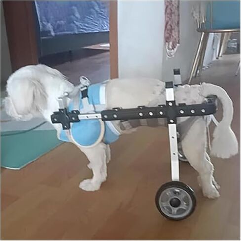 Adjustable Dog Rehabilitation Cart Pet Assistant Device, 2 Wheels Wheelchair Stroller for Doggy Cat Back Legs, Disabled Dog Mobility Assisted Car(Medium) in Saudi Arabia