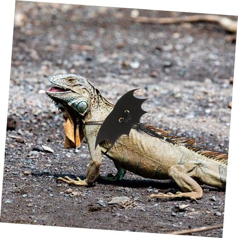 2 Sets Small Pet Traction Rope for Lizards and Reptiles Bright Color Leash for Squirrels and Bearded Dragons Easy to Use Cute Outdoor Harness for Small Animals in Saudi Arabia
