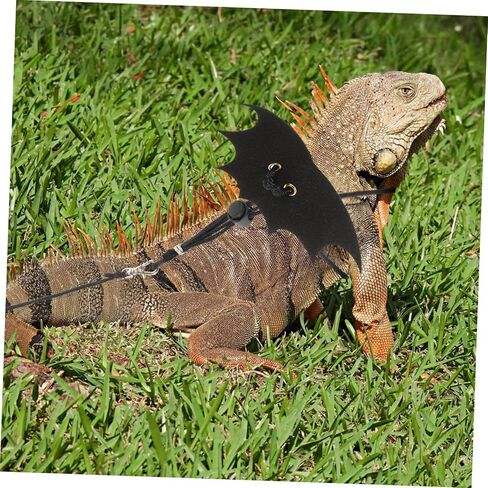 2 Sets Small Pet Traction Rope for Lizards and Reptiles Bright Color Leash for Squirrels and Bearded Dragons Easy to Use Cute Outdoor Harness for Small Animals in Saudi Arabia