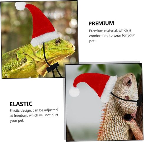 Bearded Dragon Leash with Hat and Scarf Outdoor Reptile Harness for Lizards Geckos and Small Pets Unique Christmas Costume Accessory for Walking and Holiday Parties in Saudi Arabia