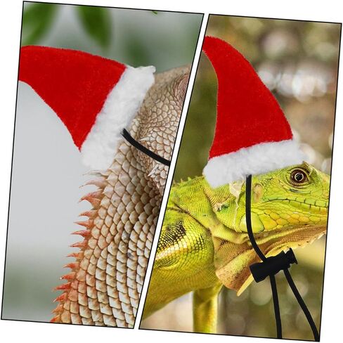 Bearded Dragon Leash with Hat and Scarf Outdoor Reptile Harness for Lizards Geckos and Small Pets Unique Christmas Costume Accessory for Walking and Holiday Parties in Saudi Arabia
