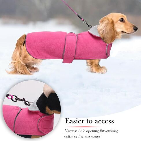 Geyecete 2 حزمة معطف Dachshund دافئ حراري مبطن ملابس Dachshund، معطف شتوي للكلاب مع بطانة صوف دافئة، ملابس للكلاب في الهواء الطلق-S-أحمر/أزرق in Saudi Arabia