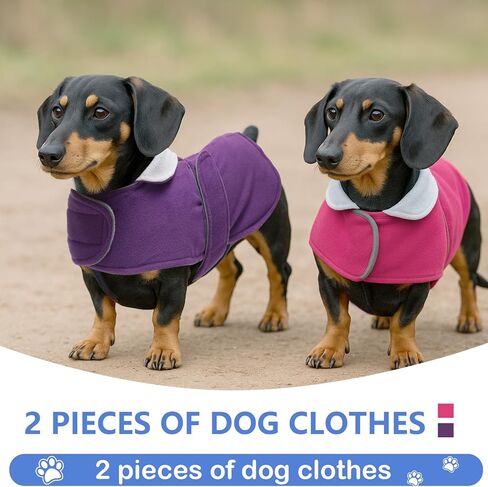 Geyecete 2 حزمة معطف Dachshund دافئ حراري مبطن ملابس Dachshund، معطف شتوي للكلاب مع بطانة صوف دافئة، ملابس للكلاب في الهواء الطلق-S-أحمر/أزرق in Saudi Arabia