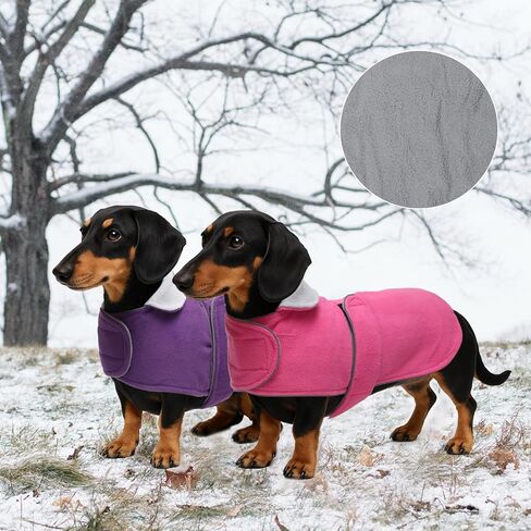 Geyecete 2 حزمة معطف Dachshund دافئ حراري مبطن ملابس Dachshund، معطف شتوي للكلاب مع بطانة صوف دافئة، ملابس للكلاب في الهواء الطلق-S-أحمر/أزرق in Saudi Arabia