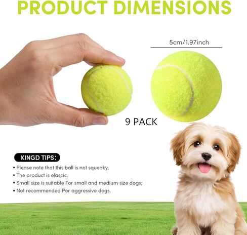 9 عبوات من كرات التنس الصغيرة مقاس 2 بوصة للكلاب الصغيرة، ألعاب تفاعلية للكلاب للتدريب والتمرين، تناسب قاذفات كرات الكلاب مقاس 2 بوصة in Kuwait