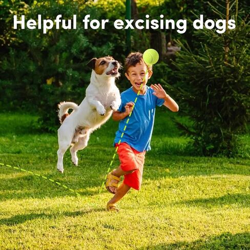 9 عبوات من كرات التنس الصغيرة مقاس 2 بوصة للكلاب الصغيرة، ألعاب تفاعلية للكلاب للتدريب والتمرين، تناسب قاذفات كرات الكلاب مقاس 2 بوصة in Kuwait