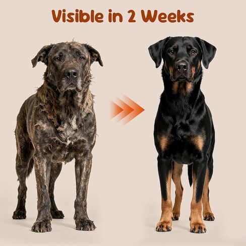 Multivitamin for Dogs - All-in-One Daily Supplement | Supports Joint, Heart, Skin, Digestion, Immune System & Liver Health (120 Chews Chicken) in Saudi Arabia