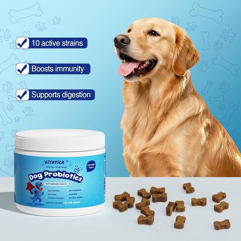 Multivitamin for Dogs - All-in-One Daily Supplement | Supports Joint, Heart, Skin, Digestion, Immune System & Liver Health (120 Chews Chicken) in Saudi Arabia
