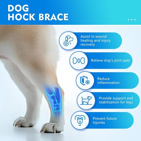 حزام رفع الكلاب قابل للتعديل، حبال كبيرة للكلاب، دعم للساق الخلفية، دعم ناعم للرفع للأرجل الخلفية الضعيفة، إعادة تأهيل الكلاب الكبيرة بعد الجراحة + مجموعة فرش أسنان للحيوانات الأليفة - طويلة وقصيرة M in Kuwait