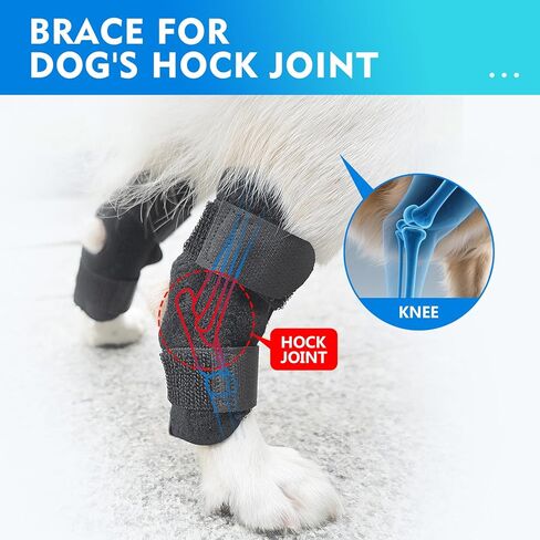 حزام رفع الكلاب قابل للتعديل، حبال كبيرة للكلاب، دعم للساق الخلفية، دعم ناعم للرفع للأرجل الخلفية الضعيفة، إعادة تأهيل الكلاب الكبيرة بعد الجراحة + مجموعة فرش أسنان للحيوانات الأليفة - طويلة وقصيرة M in Kuwait