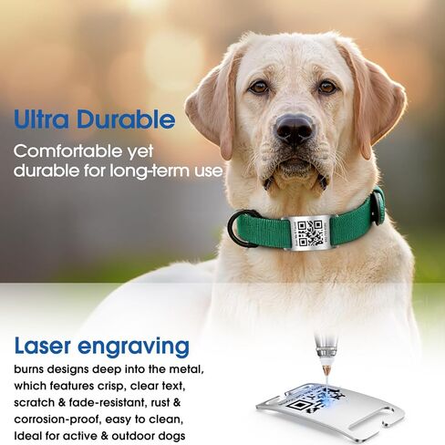 QR Code Dog Cat Pet Tags Laser Engraved Stainless Steel Ultra Durable- Real-Time Scan Alerts, No Subscription Fees, Polished Curved Rectangular Arch, Large for 1" Collars in Kuwait