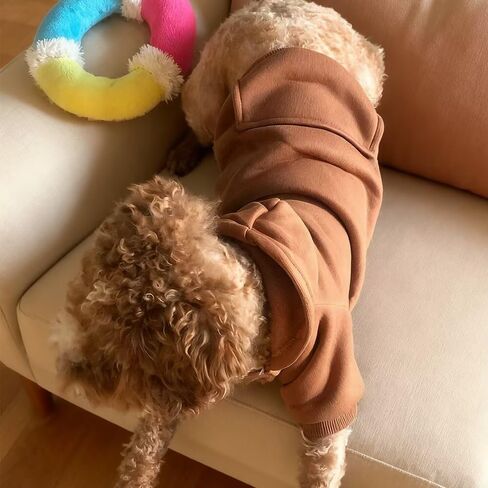 Small Dog Warm Hoodie with Pockets, Chihuahua Puppy Sweatshirt Clothing Coat in Saudi Arabia