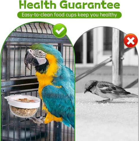 6 قطع من الوعاء الشفاف القابل للفصل من البلاستيك لتغذية الطيور، كوب ماء معلق للبذور، كوب طعام صغير للببغاء للطيور الببغاء، الكناري، الطيور الصغيرة in Kuwait