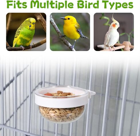 6 قطع من الوعاء الشفاف القابل للفصل من البلاستيك لتغذية الطيور، كوب ماء معلق للبذور، كوب طعام صغير للببغاء للطيور الببغاء، الكناري، الطيور الصغيرة in Kuwait