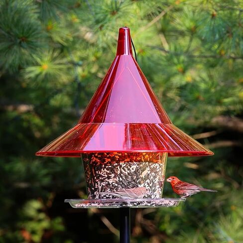 Sky Cafe - Squirrel Proof Bird Feeder for Outside - Large, 17 in. Diameter, 1.5 Gallon Birdseed Capacity - Made in USA by Arundale (Ruby Red) - Free Mug in Saudi Arabia