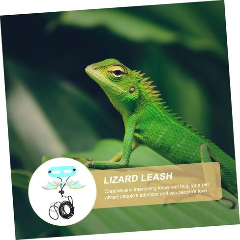 5Pcs Adjustable Lizard Harness Leash with Wings Reptile Walking Gear for Small Pets Comfortable and Skin-Friendly Outdoor Training Accessory for Geckos and Bearded Dragons in Saudi Arabia