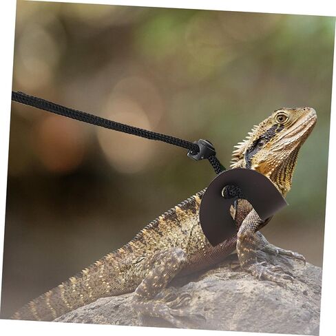 Adjustable Small Pet Lizard Harness Leash for Bearded Dragon and Reptiles Lightweight Outdoor Traction Rope Suitable for Various and Growth Stages in Saudi Arabia