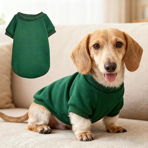 Green Pet Sweater for Small Dogs and Cats, Soft Knit Pullover Without Hood, Warm Seasonal Wear for Compact Animal Companions in Saudi Arabia