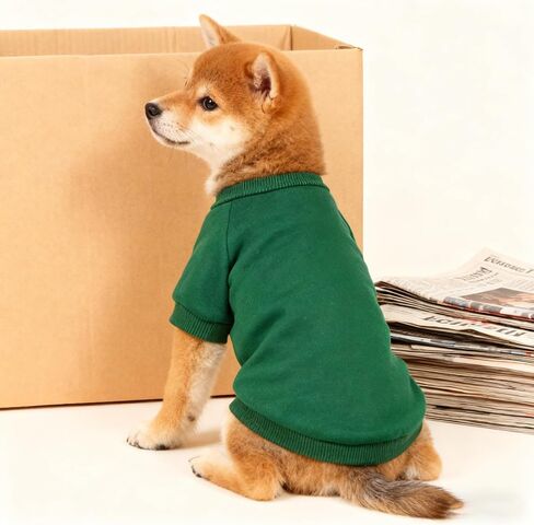 Green Pet Sweater for Small Dogs and Cats, Soft Knit Pullover Without Hood, Warm Seasonal Wear for Compact Animal Companions in Saudi Arabia