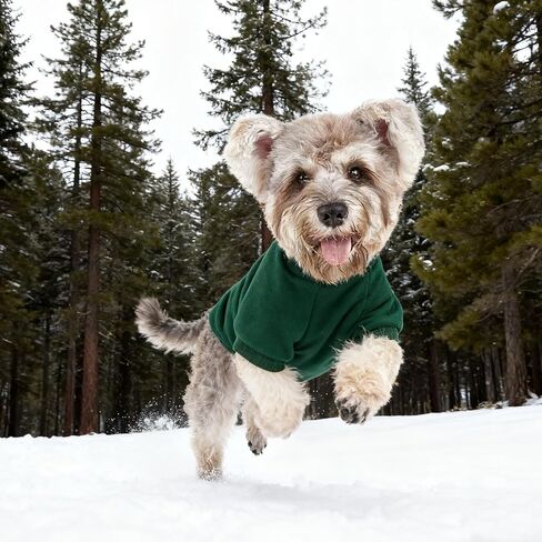 Green Pet Sweater for Small Dogs and Cats, Soft Knit Pullover Without Hood, Warm Seasonal Wear for Compact Animal Companions in Saudi Arabia