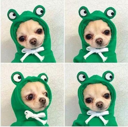 1pc Cute Fruit Design Dog Hoodie - Winter Warm Fleece Pet Clothes for Dogs, 2XL Green in Saudi Arabia