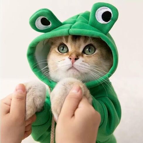 1pc Cute Fruit Design Dog Hoodie - Winter Warm Fleece Pet Clothes for Dogs, 2XL Green in Saudi Arabia