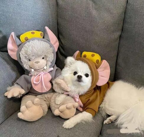 Dog Hoodies Cat Clothes Autumn Winter Sweatshirts Teddy Bulldog Bulldog Clothing Can Transform Into Frog Elk Mouse (Green Frog,M) in Saudi Arabia