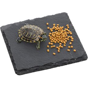 لوح للسلحفاة 3.9 × 3.9 بوصة منصة تشمس السلحفاة حجر الفرح للزواحف ملحقات التنين الملتحي للسحالي والحرباء والأبراص والسلاحف والزواحف in Kuwait